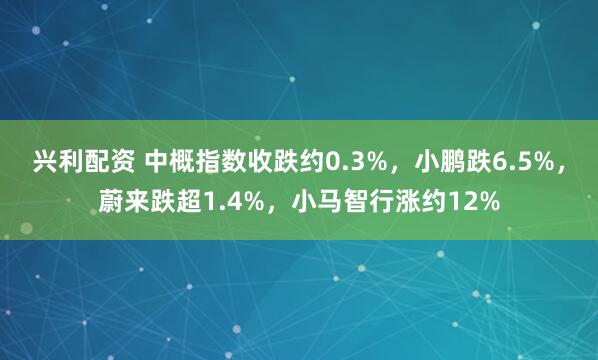 兴利配资 中概指数收跌约0.3%，小鹏跌6.5%，蔚来跌超1.4%，小马智行涨约12%