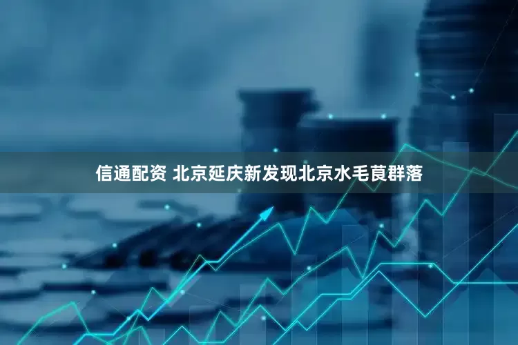 信通配资 北京延庆新发现北京水毛茛群落