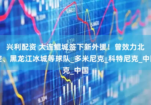 兴利配资 大连鲲城签下新外援！曾效力北控、黑龙江冰城等球队_多米尼克_科特尼克_中国