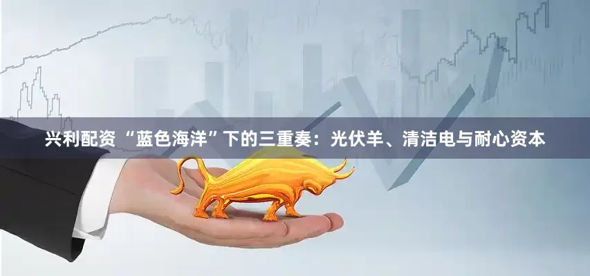 兴利配资 “蓝色海洋”下的三重奏：光伏羊、清洁电与耐心资本