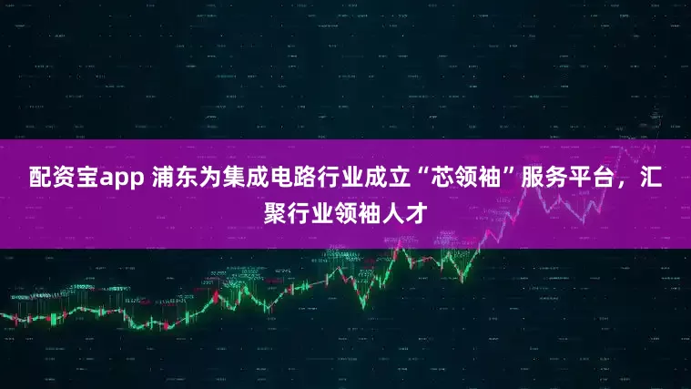 配资宝app 浦东为集成电路行业成立“芯领袖”服务平台，汇聚行业领袖人才